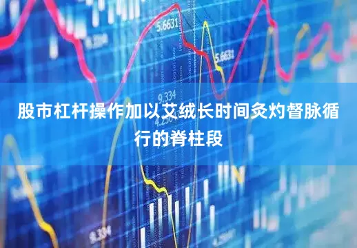 股市杠杆操作加以艾绒长时间灸灼督脉循行的脊柱段