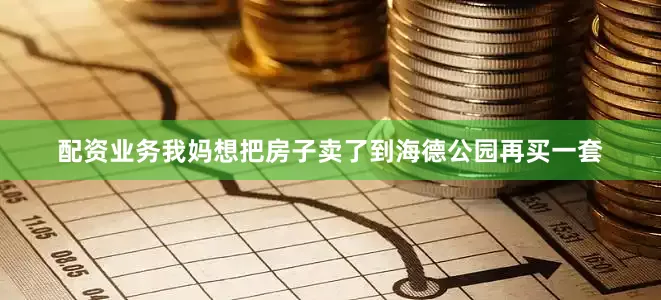 配资业务我妈想把房子卖了到海德公园再买一套