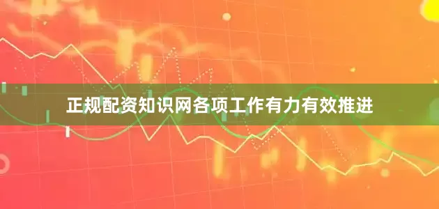 正规配资知识网各项工作有力有效推进