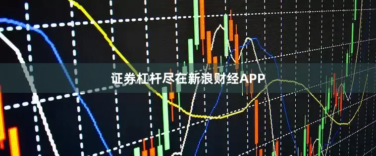 证券杠杆尽在新浪财经APP